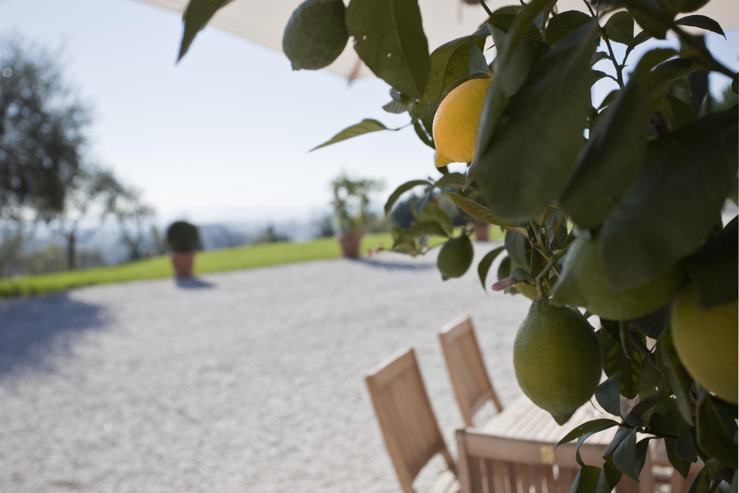 Relais Villa Belvedere Incisa in Val d'Arno Exterior foto